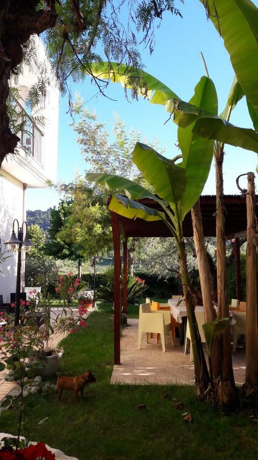 Appartement Rosadipepe à Ripatransone Extérieur photo